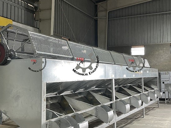 Machine de calibrage de noix de cajou brutes