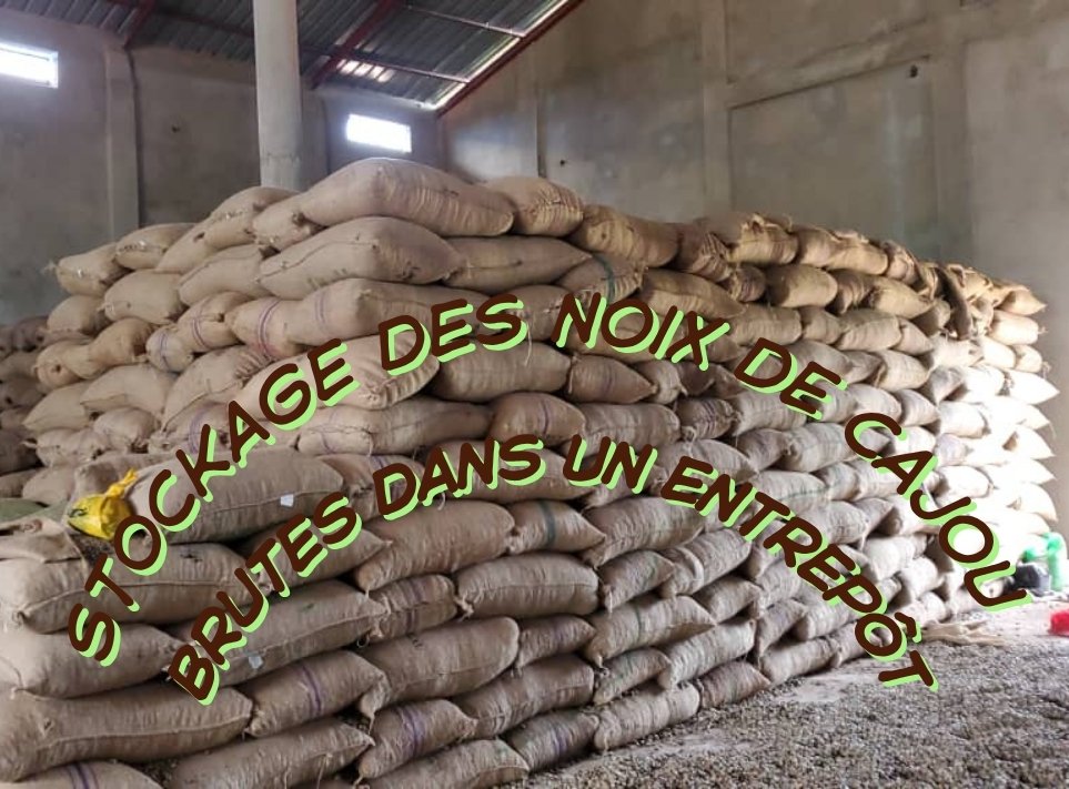 Stockage des noix de cajou brutes dans un entrepôt